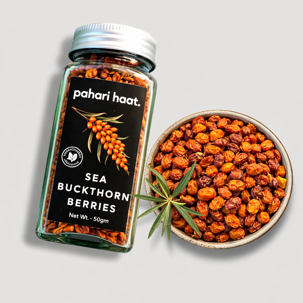 Sea buckthorn berry — wild Himalayan superfruit dried berries by Pahari Haat India