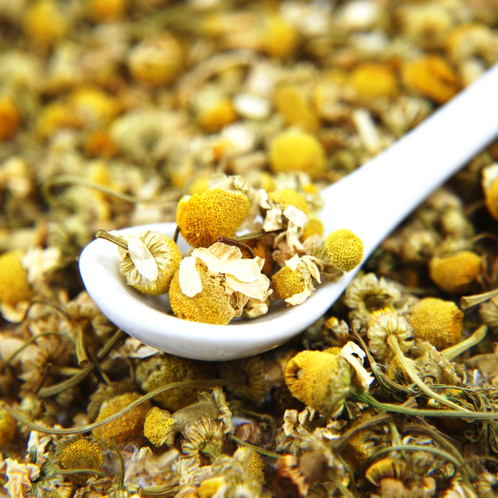 Organic Himalayan chamomile flowers from Uttarakhand sun-dried and handpicked.