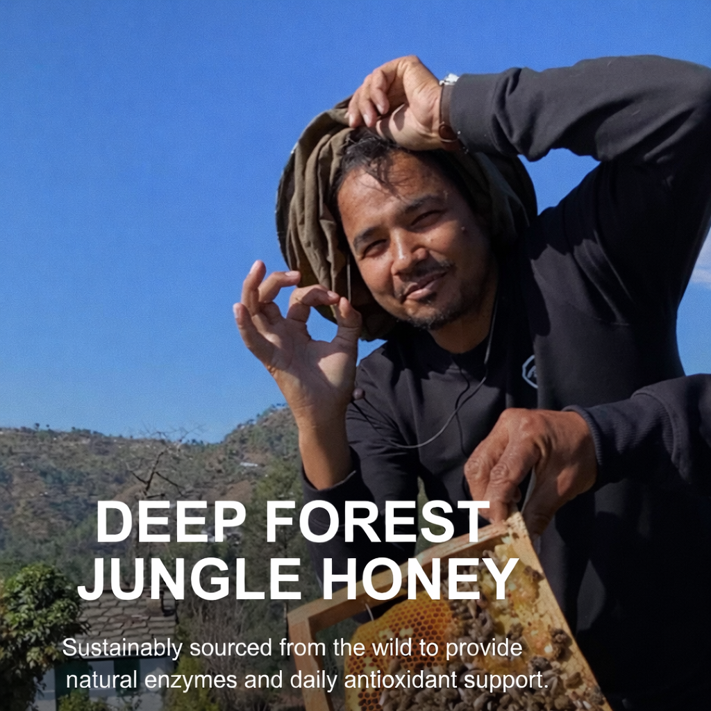 Unprocessed Honey India Guide Real Trusted Premium Honey by Pahari Haat