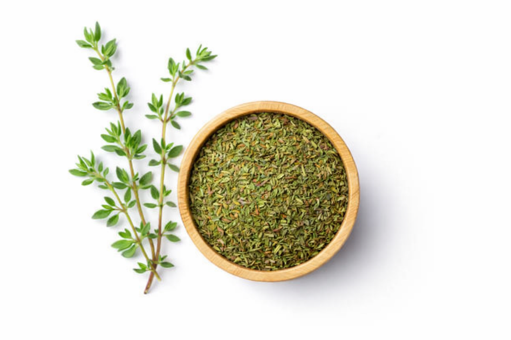 Himalayan thyme dried leaves bulk supplier Uttarakhand