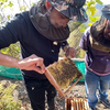 best honey in India by Pahari Haat