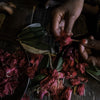 Himalayan Herbal Tea Wholesale & Custom Blends from India