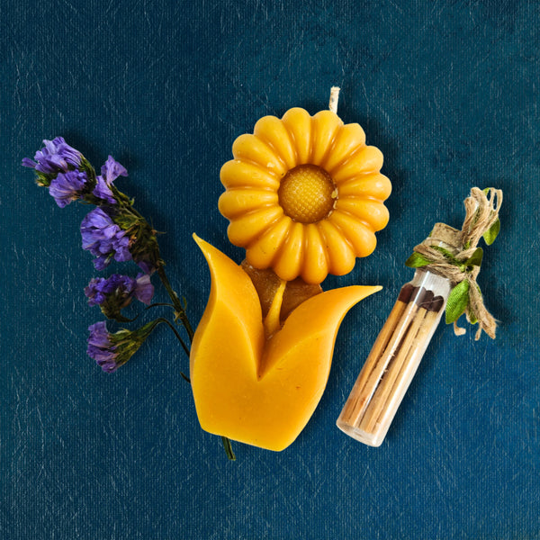 Eco-conscious packaging of Pahari Haat beeswax candles — biodegradable and toxin-free gift.