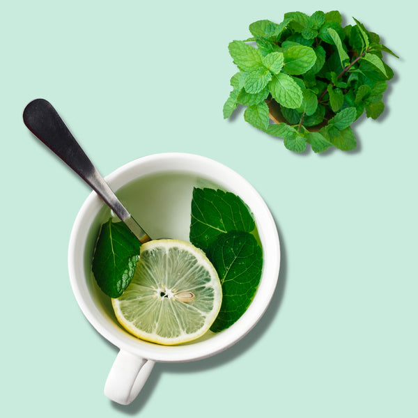 Cup of Peppermint Tea — refreshing menthol herbal infusion