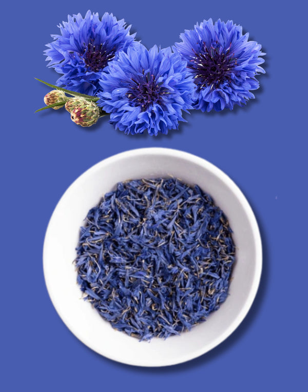 Blue cornflower flowers and dried flower petals in a white bowl on a blue background