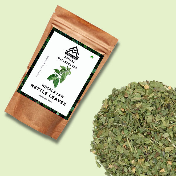 Cup of Himalayan Nettle Leaf Tea — earthy herbal infusion that supports kidney health and detoxification.