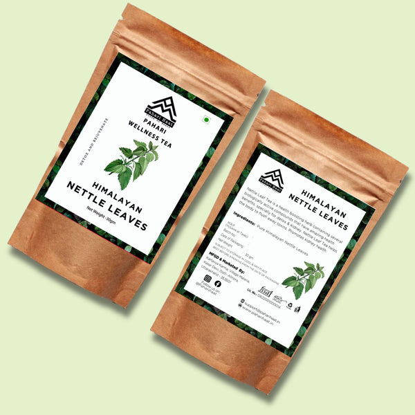 Nettle plants growing in the Himalayas — source of Pahari Haat’s natural detox and wellness tea.