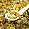 Organic Himalayan chamomile flowers from Uttarakhand sun-dried and handpicked.