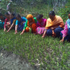 Organic Himalayan tea and herbal products made by local women