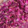 Premium dry rose petals wholesale Gulab Patti Rosa indica bulk supplier Pahari Haat