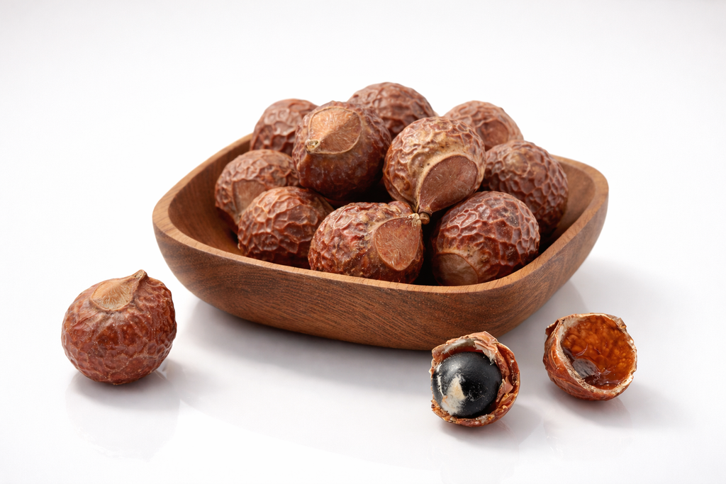 Premium Himalayan soap nuts in bulk sacks for B2B wholesale supply