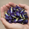 Dried Butterfly Blue Pea Flower (Clitoria ternatea) in bulk packaging for wholesale and export supply