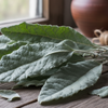 dried mullein leaves bulk supplier India
