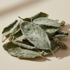 Bulk, B2B & Wholesale Mullein Leaves from India