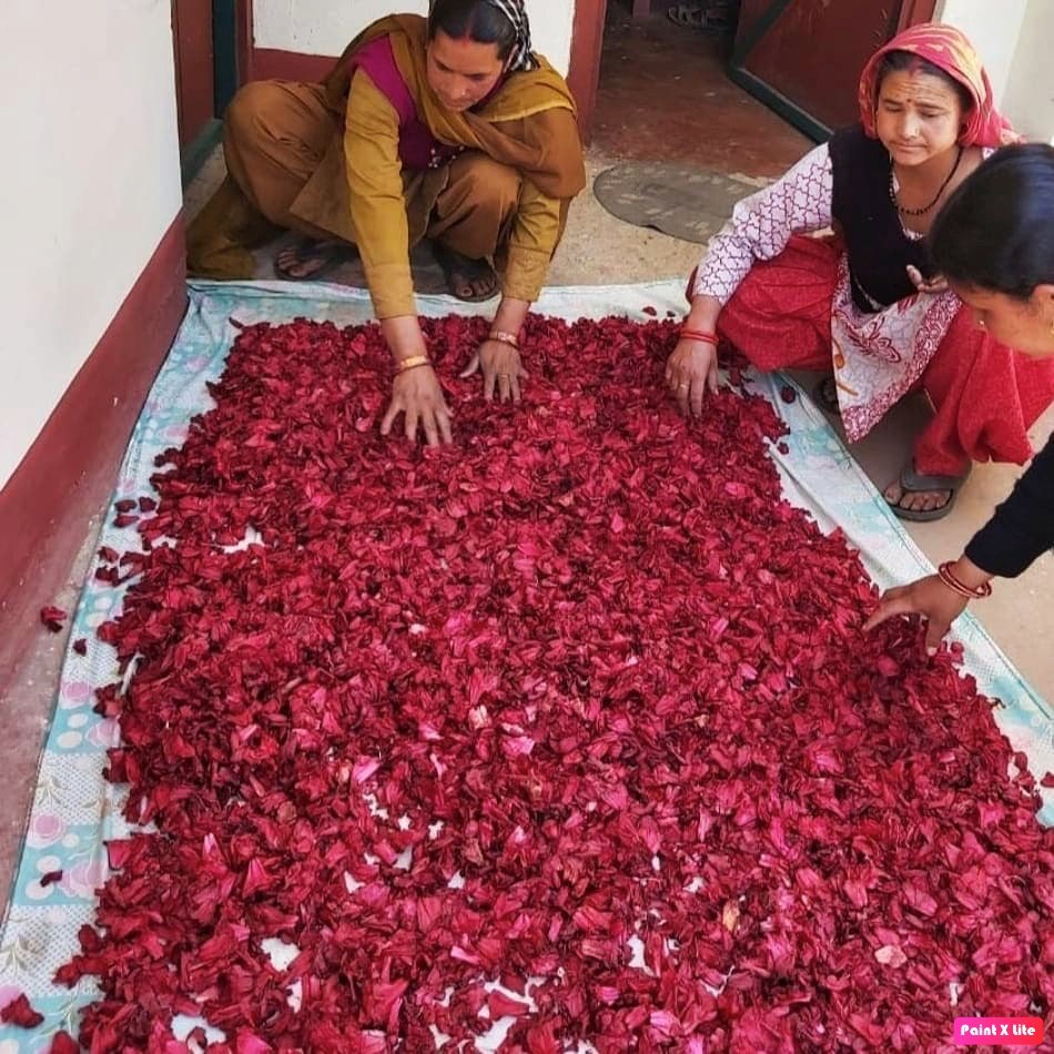 Organic Himalayan products from Uttarakhand by Pahari Haat