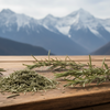 Himalayan rosemary dried leaves bulk supplier Uttarakhand