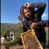 Raw honey from Uttarakhand — 100% unprocessed never heated natural enzymes intact Pahari Haat