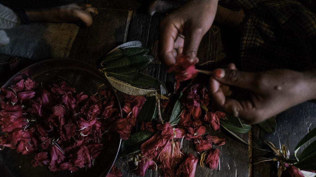 Himalayan Herbal Tea Wholesale & Custom Blends from India