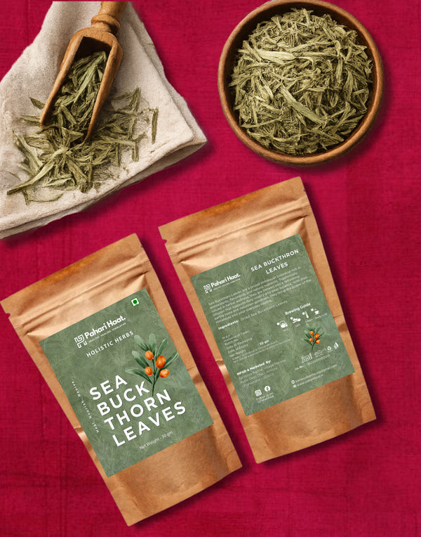 Premium Himalayan Sea Buckthorn Leaves natural product by Pahari Haat