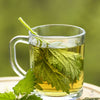 Cup of Himalayan Nettle Leaf Tea — earthy herbal infusion that supports kidney health and detoxification.
