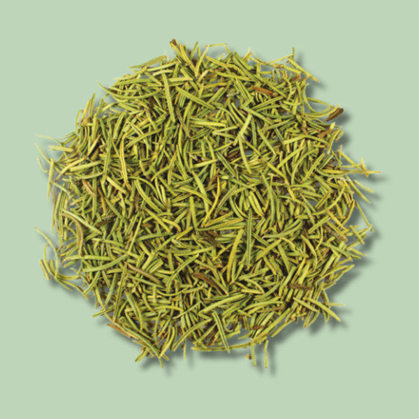Dried rosemary leaves — antioxidant-rich Himalayan herb for scalp health and wellness.